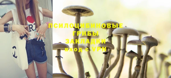 не бодяженный Беломорск