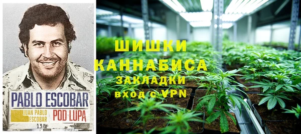 дурь Белоозёрский