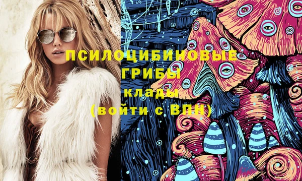 дурь Белоозёрский