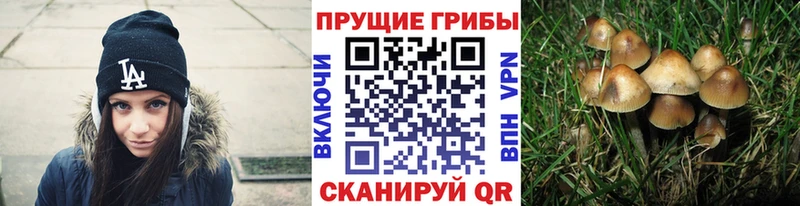 мега ТОР  Горняк  Псилоцибиновые грибы ЛСД 
